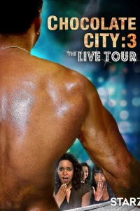 Шоколадный город 3: Концертный тур